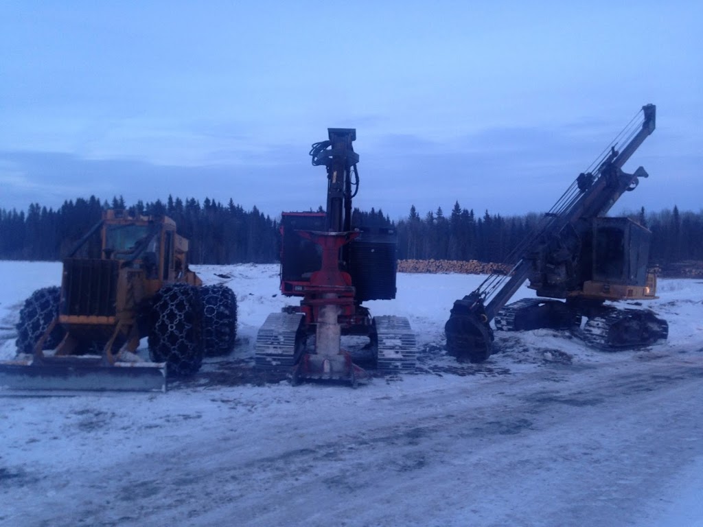 Lil Mule Logging Inc | 19 Varty Close, Red Deer, AB T4R 0G1, Canada | Phone: (403) 318-4346