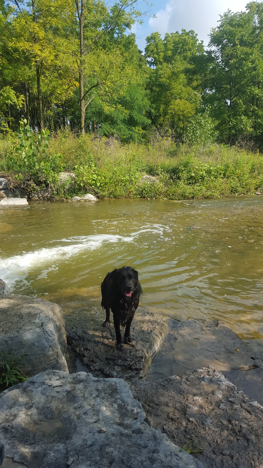 Bruce Trail Conservancy | 55 Head St #101, Dundas, ON L9H 3H8, Canada | Phone: (800) 665-4453