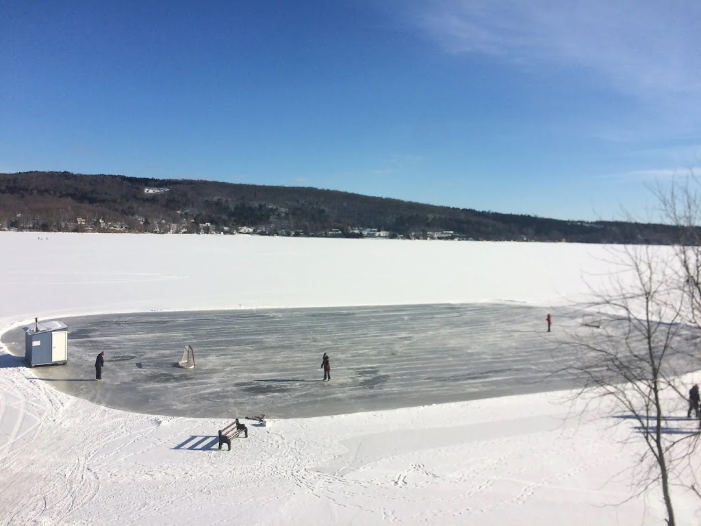 Logement Beach House Lac William | 649 Rue Principale, Saint-Ferdinand, QC G0N 1N0, Canada | Phone: (514) 816-7239