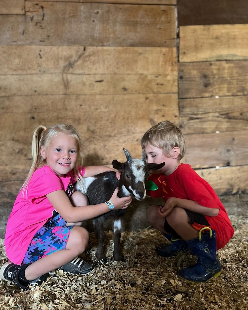 Peaceful Place Equestrian & Wellness Facility Inc. | 687399 Oxford 2, Princeton, ON N0J 1V0, Canada | Phone: (226) 388-4225