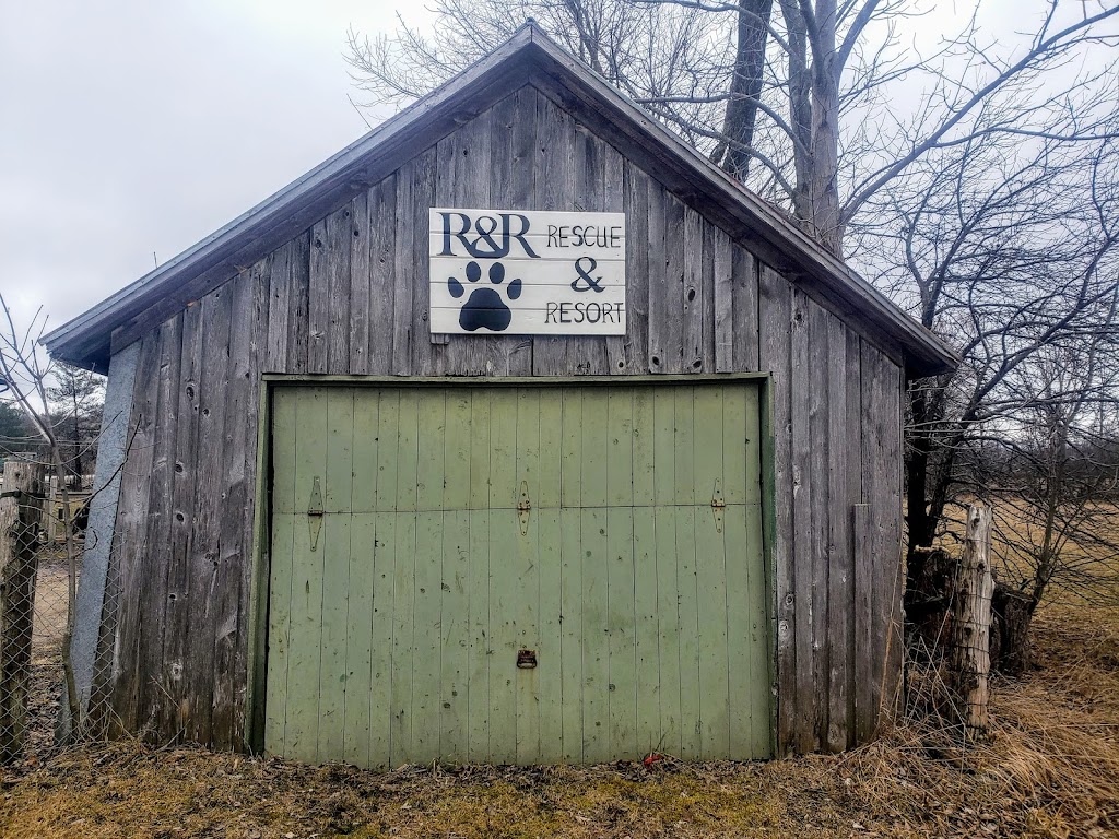 R&R Rescue & Resort | 402674 Grey Rd 17, Georgian Bluffs, ON N0H 2T0, Canada | Phone: (519) 270-2859