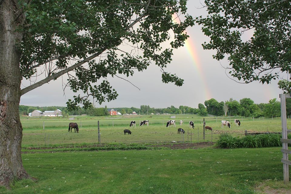 Integrated Farms | 5091 10 Line N, Coldwater, ON L0K 1E0, Canada | Phone: (705) 835-0551