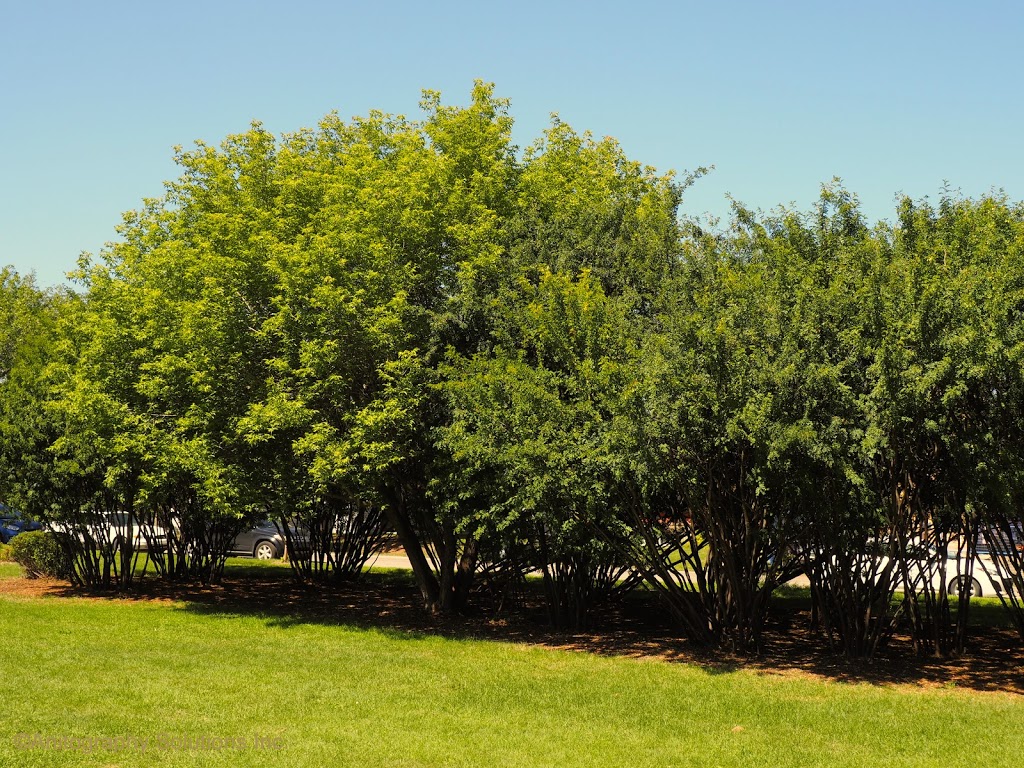 McKernan Park | 7535 112 St NW, Edmonton, AB T6G 0C4, Canada | Phone: (780) 436-2735