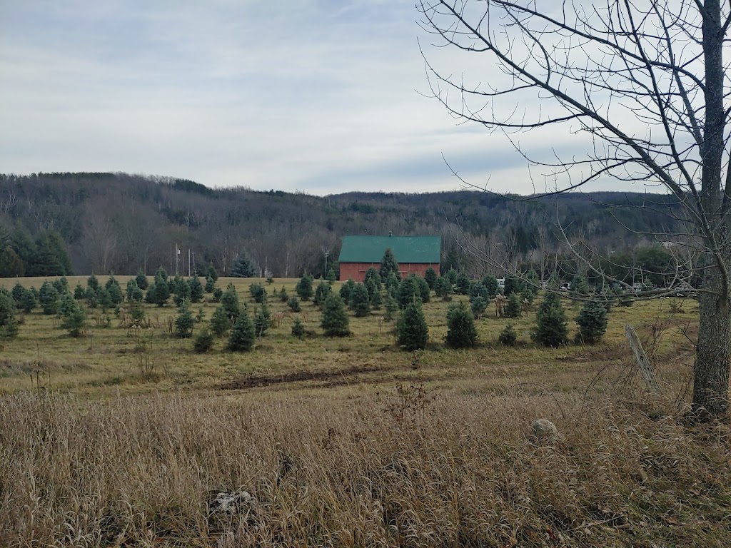 Hockley Valley Farm | 307509 Hockley Rd, Mono, ON L9W 6M9, Canada | Phone: (905) 715-0520