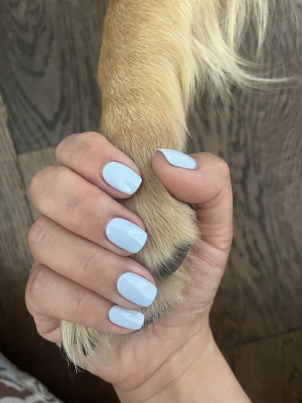 Victoria Nails & Spa | 305 10 St NW, Calgary, AB T2N 1V5, Canada | Phone: (403) 283-7020