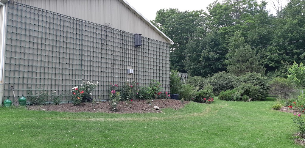 Rose Haven | 8733 Reily Dr, Mount Brydges, ON N0L 1W0, Canada