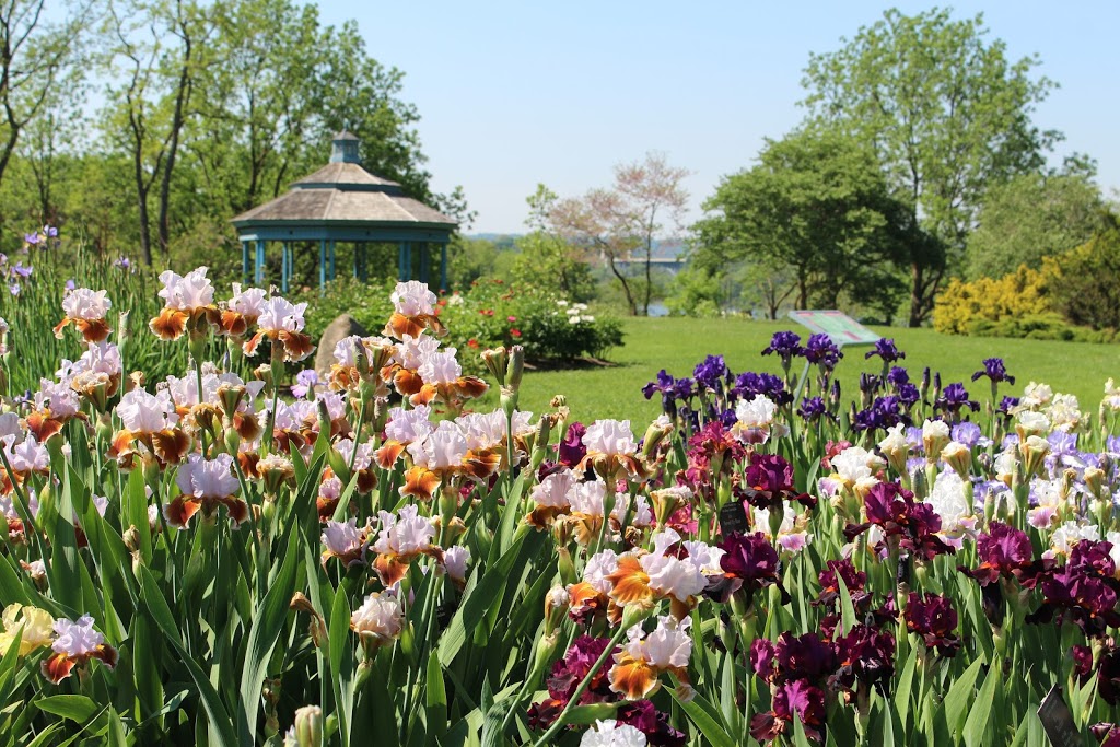 Royal Botanical Gardens - Laking Garden | 1260 Spring Gardens Rd, Burlington, ON L7T 1J8, Canada | Phone: (905) 527-1158