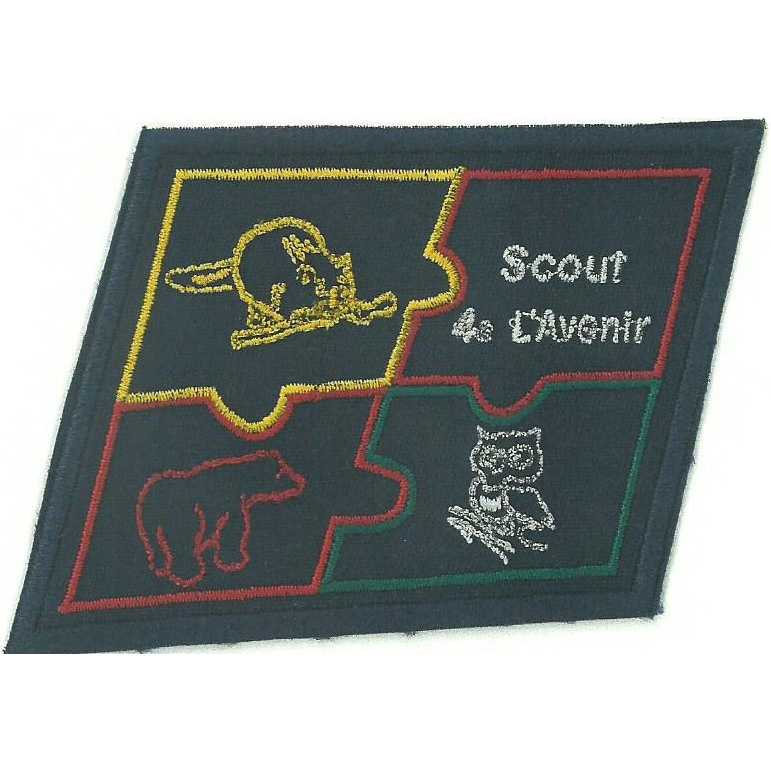 Groupe Scout 4e lAvenir inc. | 125 Rue Arpin, Sainte-Madeleine, QC J0H 1S0, Canada | Phone: (450) 262-1042
