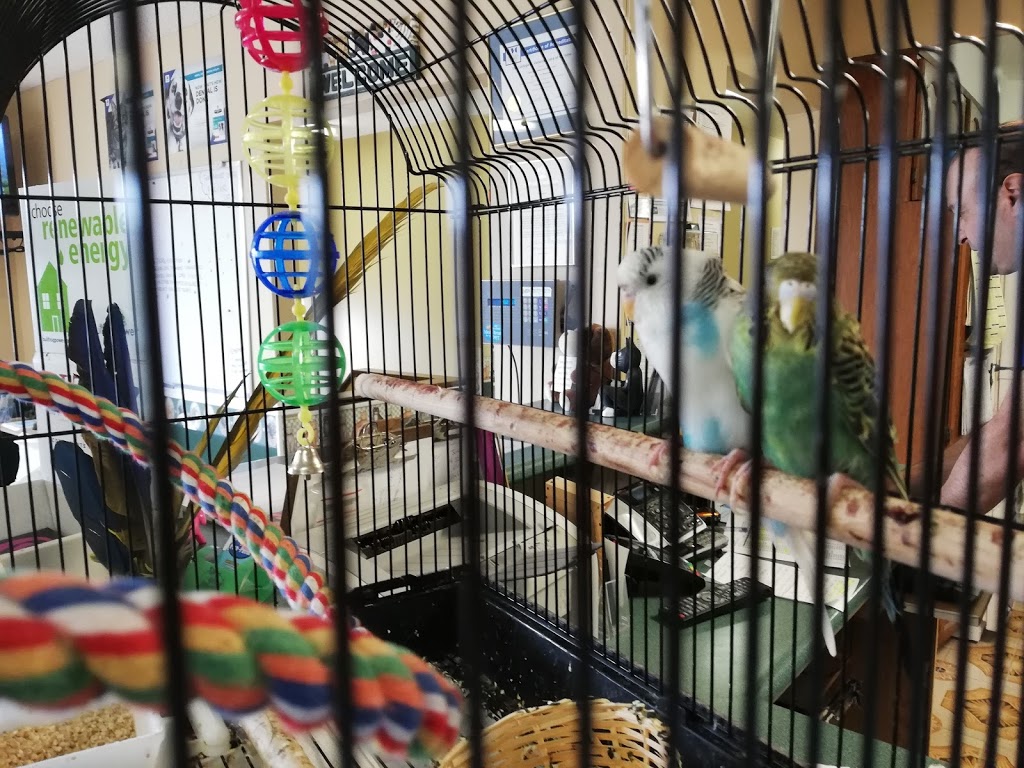 Creditview Animal & Bird Hospital | 5330 Creditview Rd, Mississauga, ON L5M 5N5, Canada | Phone: (905) 567-8387