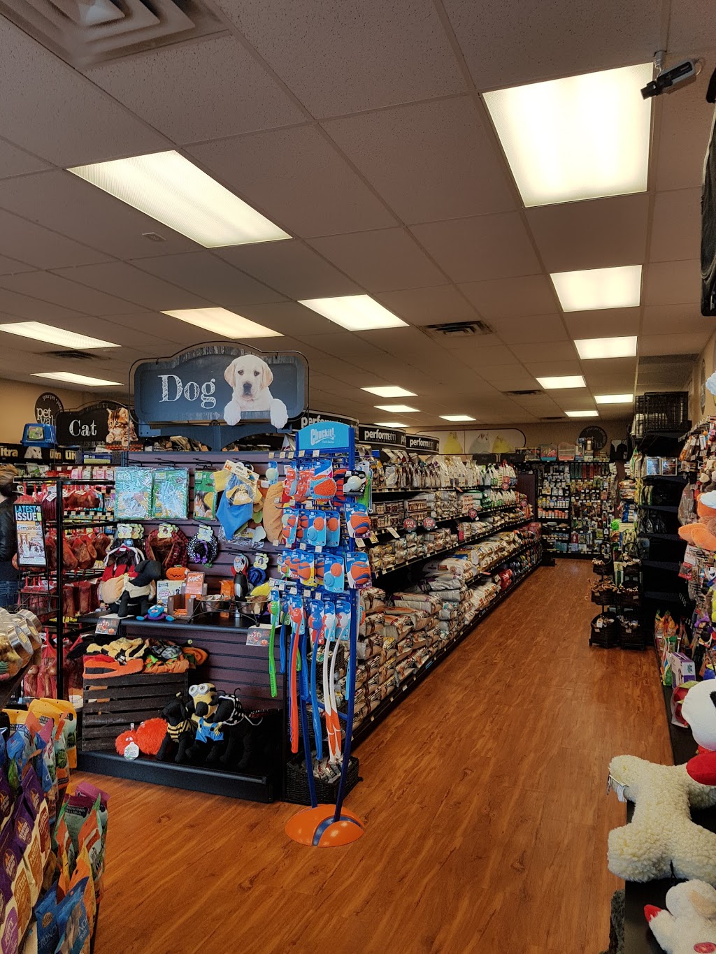 Pet Valu | 900 Tower St S, Fergus, ON N1M 3N7, Canada | Phone: (519) 843-7997