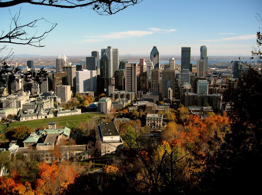 Greentree ESL | 351 Preston Dr, Beaconsfield, QC H9W 1Z5, Canada | Phone: (514) 562-2996