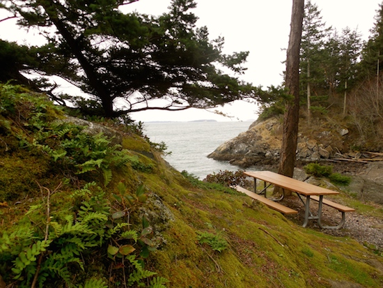 Lummi Island Campground | Lummi Island, WA 98262, USA