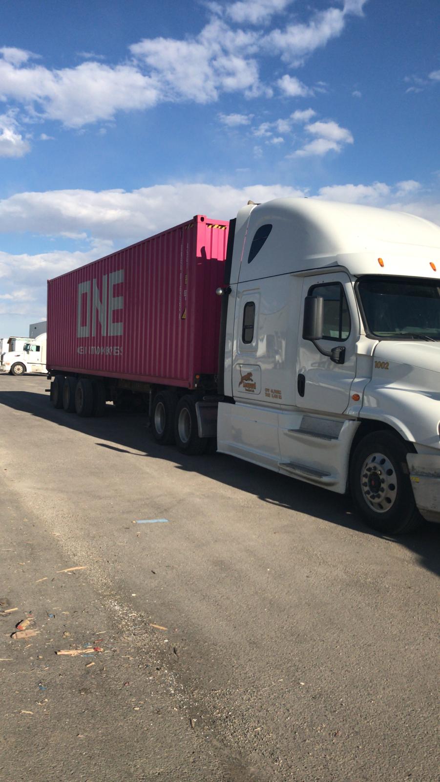 Leopard Transport Ltd | 572 Aero Dr NE unit # 133, Calgary, AB T2E 7Y4, Canada | Phone: (587) 535-7133