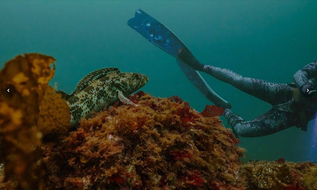 Freedive BC | 7480 Gilbert Rd., Richmond, BC V7C 3W2, Canada | Phone: (604) 897-1801