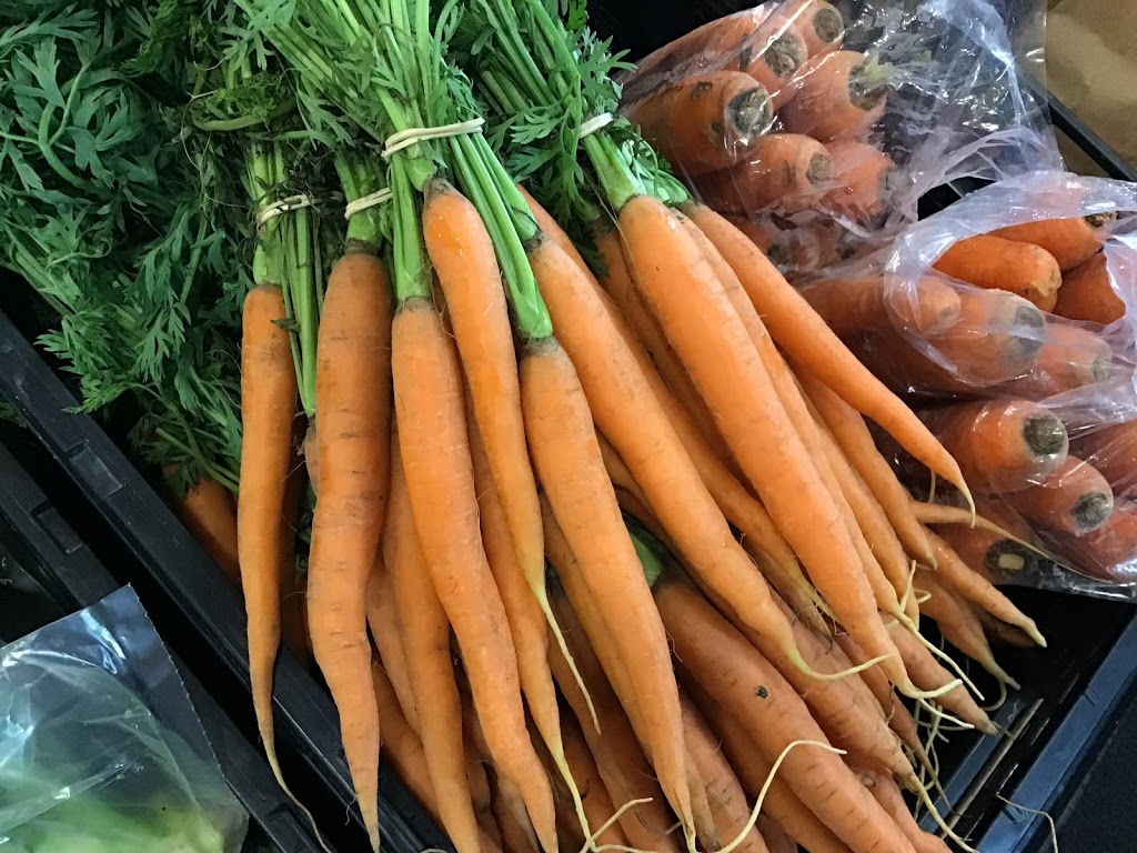 Maitland Market and Supply | 79988 Porters Hill Line, Goderich, ON N7A 3X8, Canada | Phone: (519) 524-0773