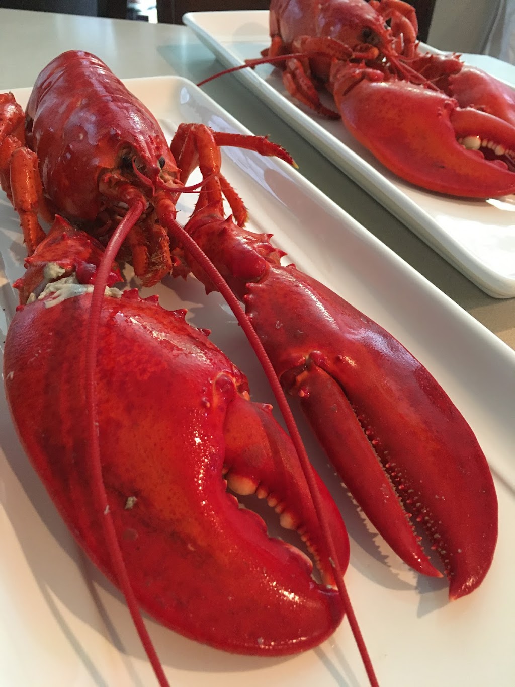 Bigfish Shediac | 30 Rue du Vestiaire, Shédiac, NB E4P 2W4, Canada | Phone: (506) 532-9215
