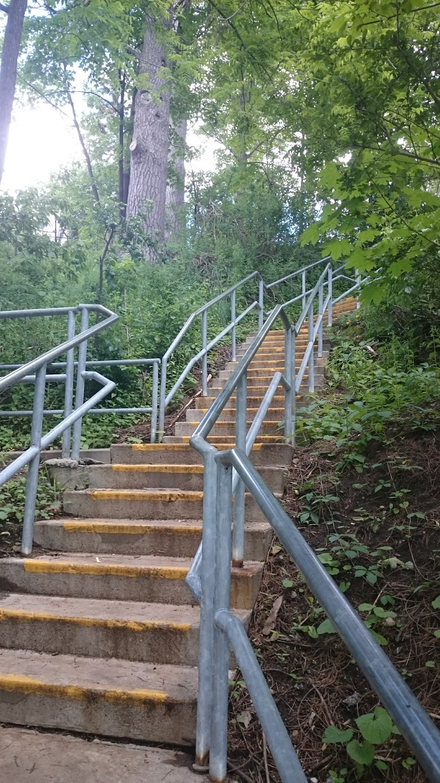Nelson Park | 349 Codrington St, Barrie, ON L4M 4J7, Canada