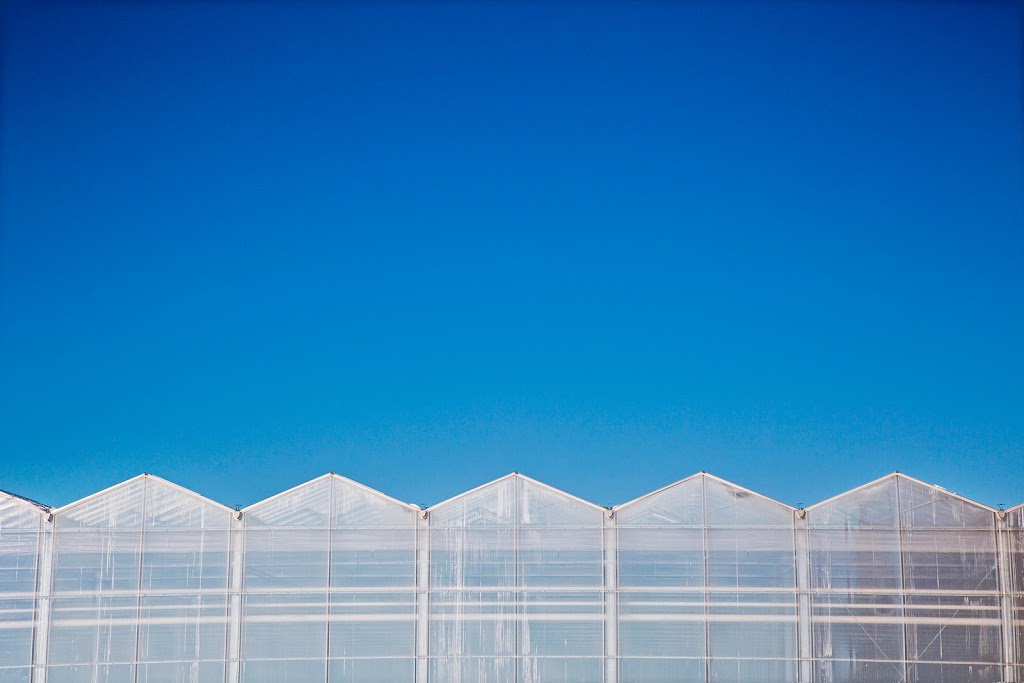 Huron Produce Ltd. (Suntastic) | 40534 Thames Rd, Exeter, ON N0M 1S5, Canada | Phone: (519) 235-2650