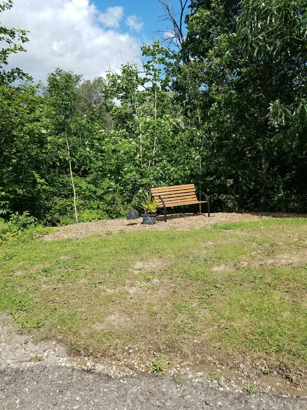 The Blueberry Patch | 289 Brant County Hwy 53, Burford, ON N0E 1A0, Canada | Phone: (519) 458-8066
