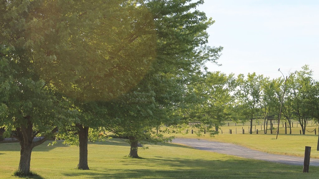 Effingham Stables | 2366 Effingham St, Ridgeville, ON L0S 1M0, Canada | Phone: (289) 969-3476