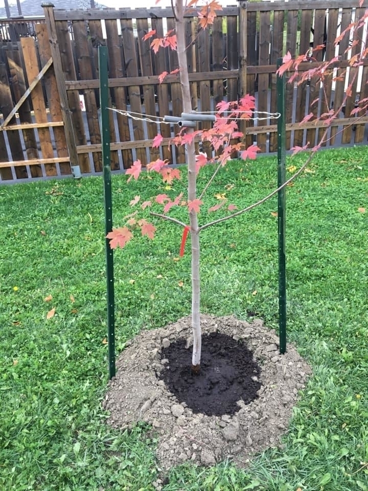 Jacobs Landscaping Service | 40864 Hwy 41, Pembroke, ON K8A 6W5, Canada | Phone: (613) 583-3557