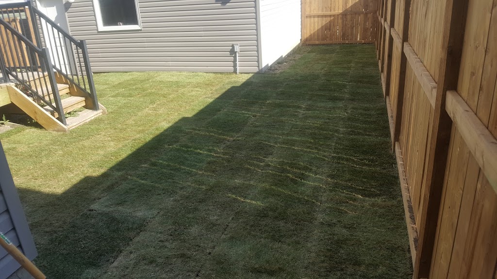 Green World Landscaping ltd | 247 Cairn St, London, ON N5Z 3W6, Canada | Phone: (226) 977-6162