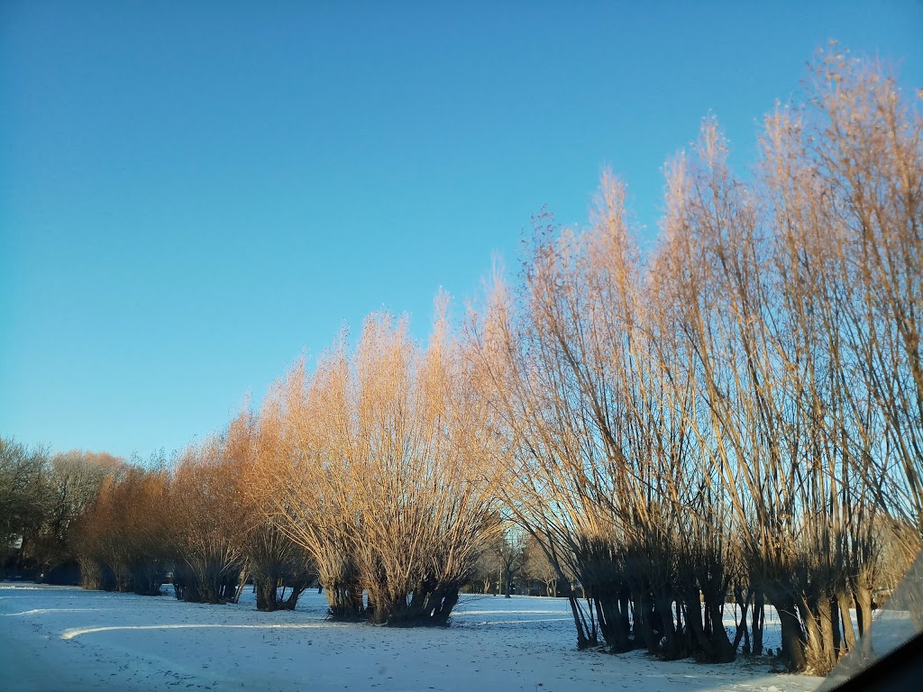 Beaumont Park | Beaumont, Winnipeg, MB R3T, Canada