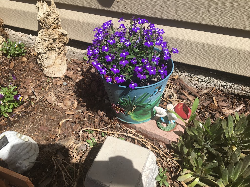 Lohr-a-Lee Greenhouses | Township Rd 325A, Didsbury, AB T0M 0W0, Canada | Phone: (403) 438-0030