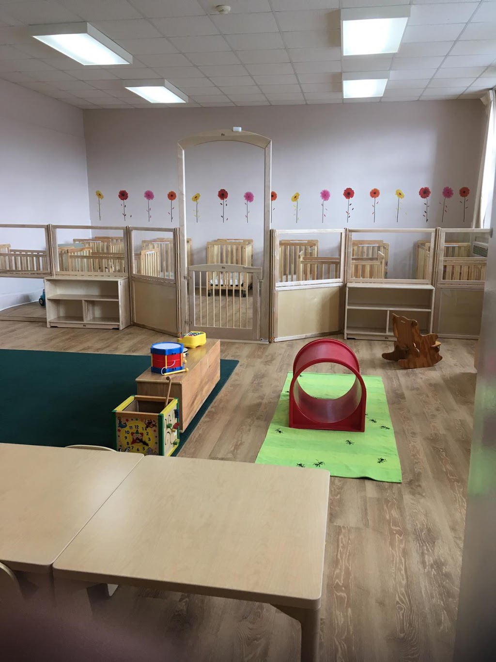 Montessori Academy Learning Centre of Cambridge | 82 Beverly St, Cambridge, ON N1R 2Z7, Canada | Phone: (519) 267-7570