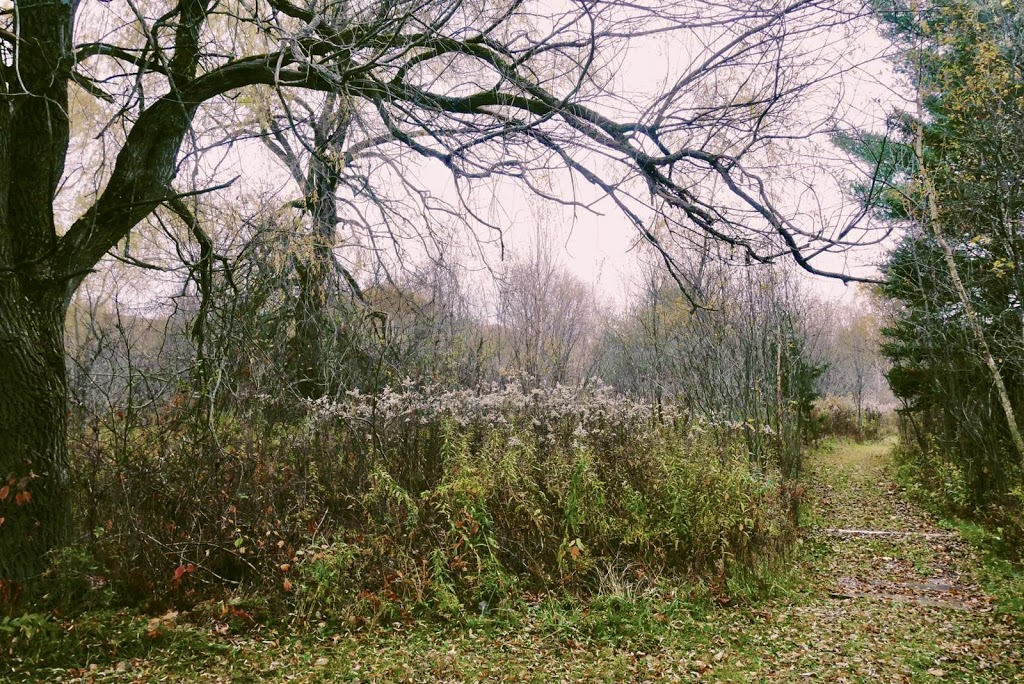 Fells Meadows - Accommodations & Wellness Retreat Centre | 2429 County Rd 25, Castleton, ON K0K 1M0, Canada | Phone: (905) 344-5014
