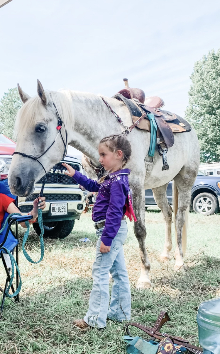 ABC Equestrian | 524239 Curry Rd, Ingersoll, ON N5C 3J8, Canada | Phone: (519) 709-1439