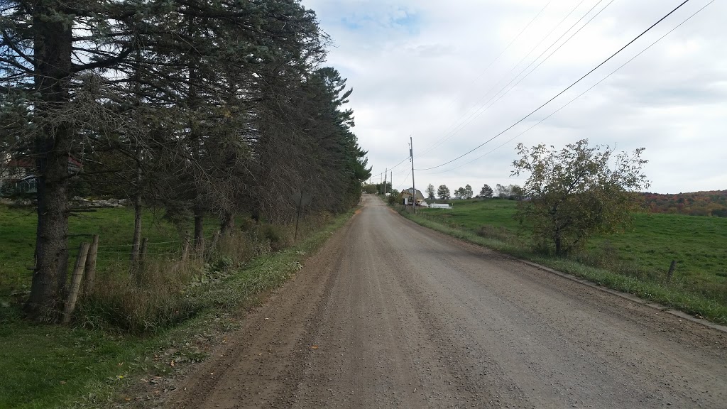 Shadypath Farm | 19 Chemin Soles, West Brome, QC J0E 2P0, Canada | Phone: (450) 263-7137