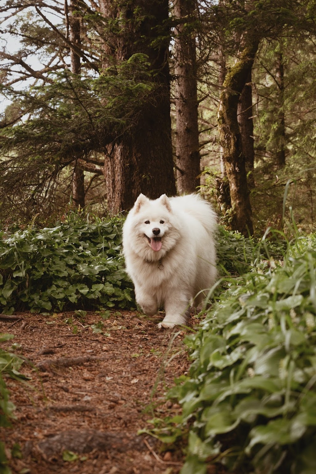 Sammy-Lee Photography | 159 Rue Denault, Salaberry-de-Valleyfield, QC J6S 5W9, Canada | Phone: (450) 544-0955