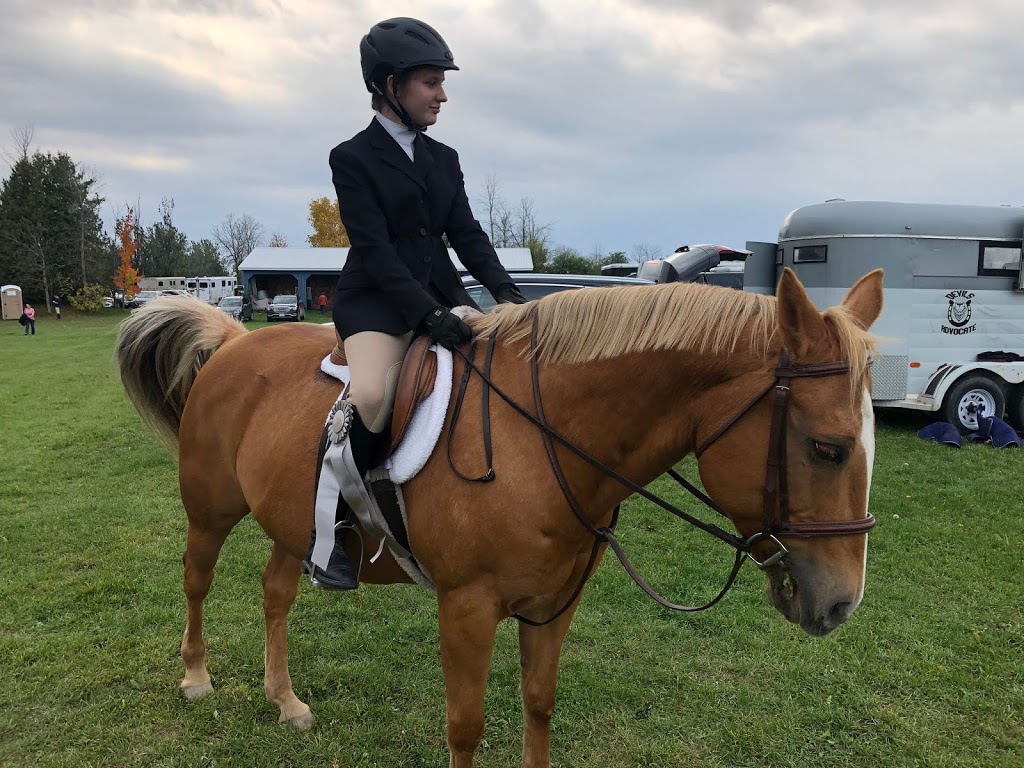 Lilac Lane Equestrian | 2464 Munster Rd, Stittsville, ON K2S 1B8, Canada | Phone: (613) 262-9206