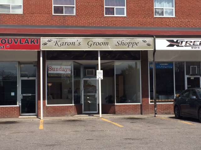 Karons Groom Shoppe | 367 Wilson Rd S, Oshawa, ON L1H 6C6, Canada | Phone: (905) 571-7387