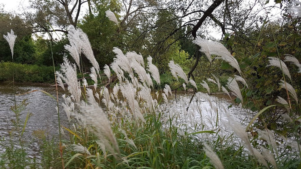 Churchville Park | Brampton, ON L6Y 0A1, Canada