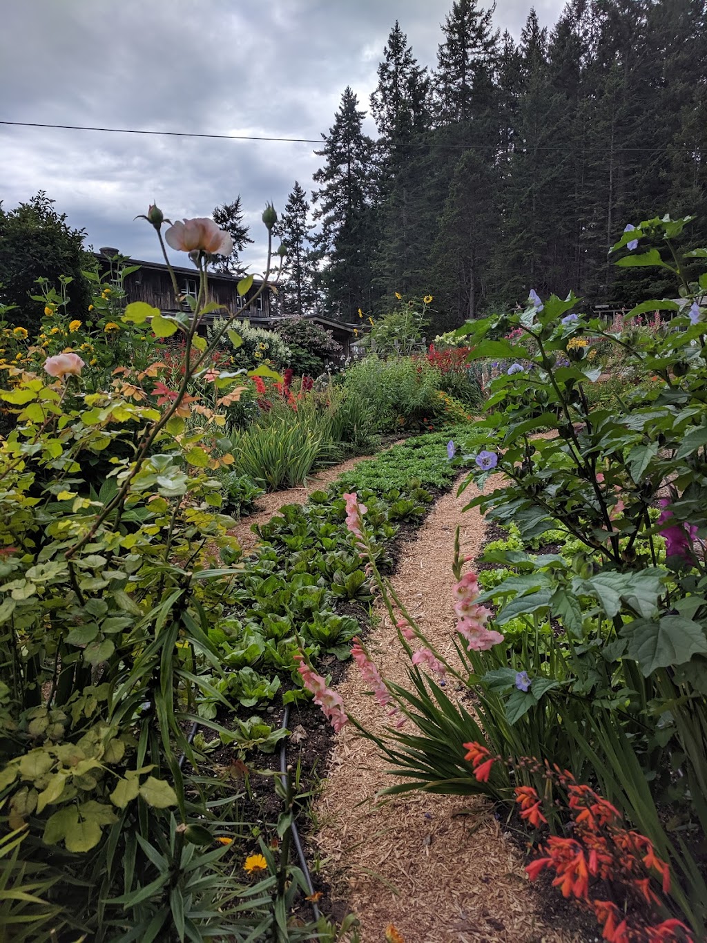 Hollyhock Leadership Learning Centre | Highfield Rd, Mansons Landing, BC V0P 1K0, Canada | Phone: (250) 935-6576