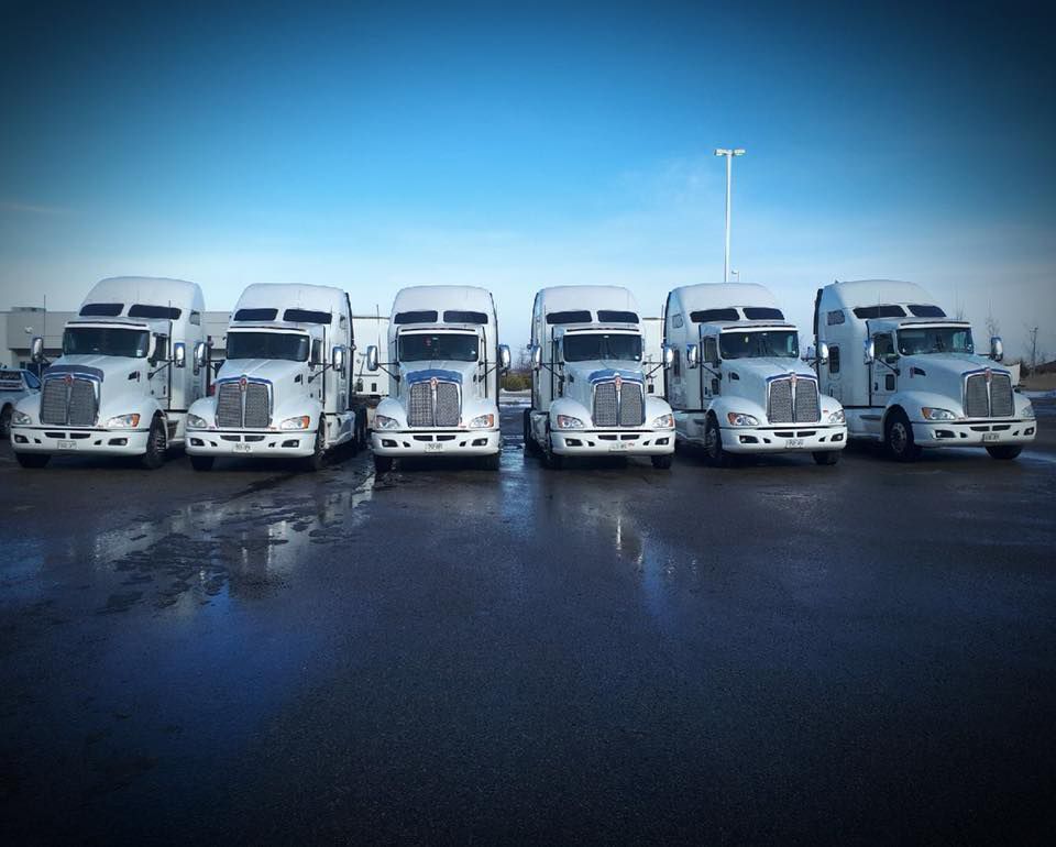 Stewart Bronson DBA JDW International | 272 Old Percy Rd, Castleton, ON K0K 1M0, Canada | Phone: (905) 344-7700
