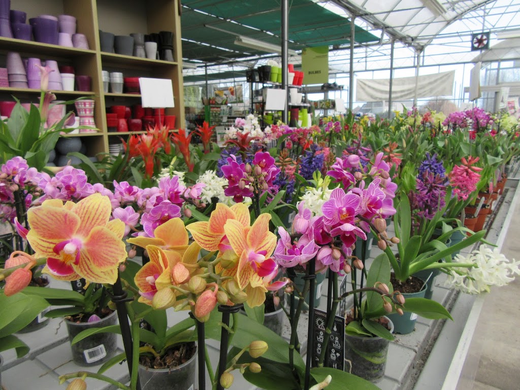 Pépinière Lapointe Inc. | 970 Av Châteaubriant, Mascouche, QC J7K 3N7, Canada | Phone: (450) 474-1680