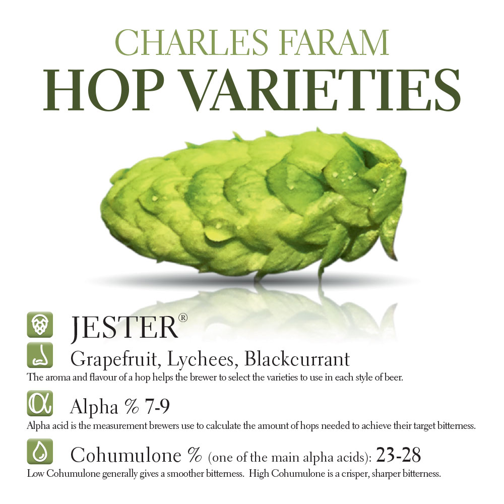 Charles Faram Brewing Supplies | 136 Skyway Ave, Etobicoke, ON M9W 4Y9, Canada | Phone: (416) 907-9343