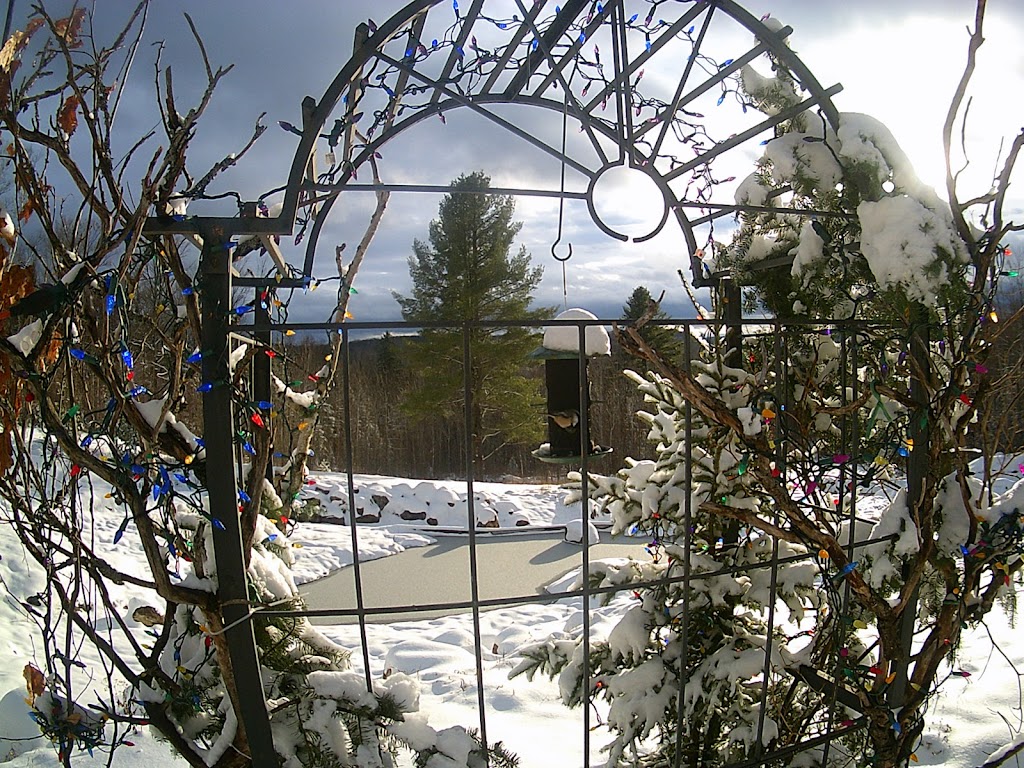 Camp K97 | 97 Shady Maple Ln, Bancroft, ON K0L 1C0, Canada | Phone: (613) 332-3359