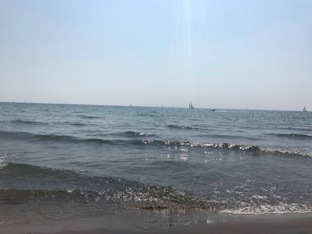 Beach | 425 Lakeshore Ave, Toronto, ON M5J 2W2, Canada