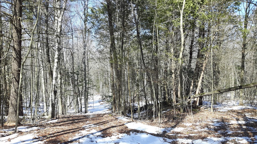 Long Sault Conservation Area | Long Sault Conservation Area, 9293 Woodley Rd, Bowmanville, ON L1C 3K6, Canada | Phone: (905) 579-0411