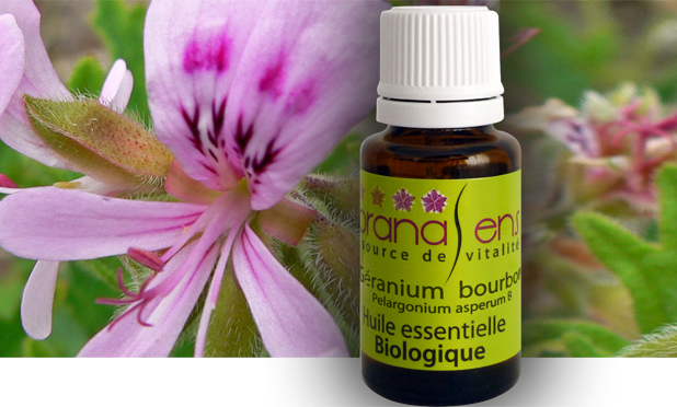 Remedy Natural - Clinical Health Larbre De Vie - Naturopathe -  | 372 Avenue de lAssomption, Fortierville, QC G0S 1J0, Canada | Phone: (819) 979-3773