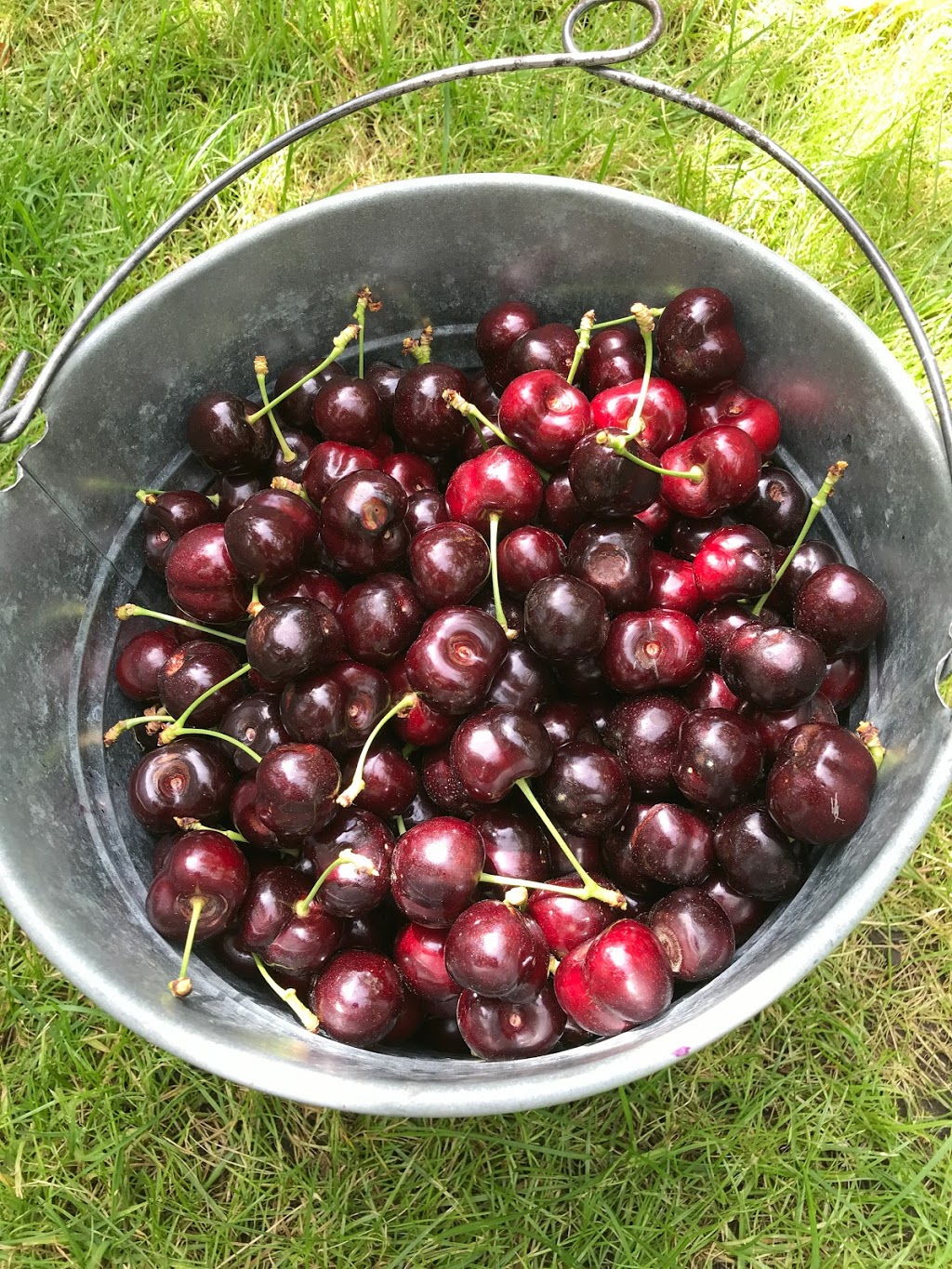 Lakeside Orchards | 4730 Lakeshore Rd, Kelowna, BC V1W 4H6, Canada | Phone: (403) 671-1493