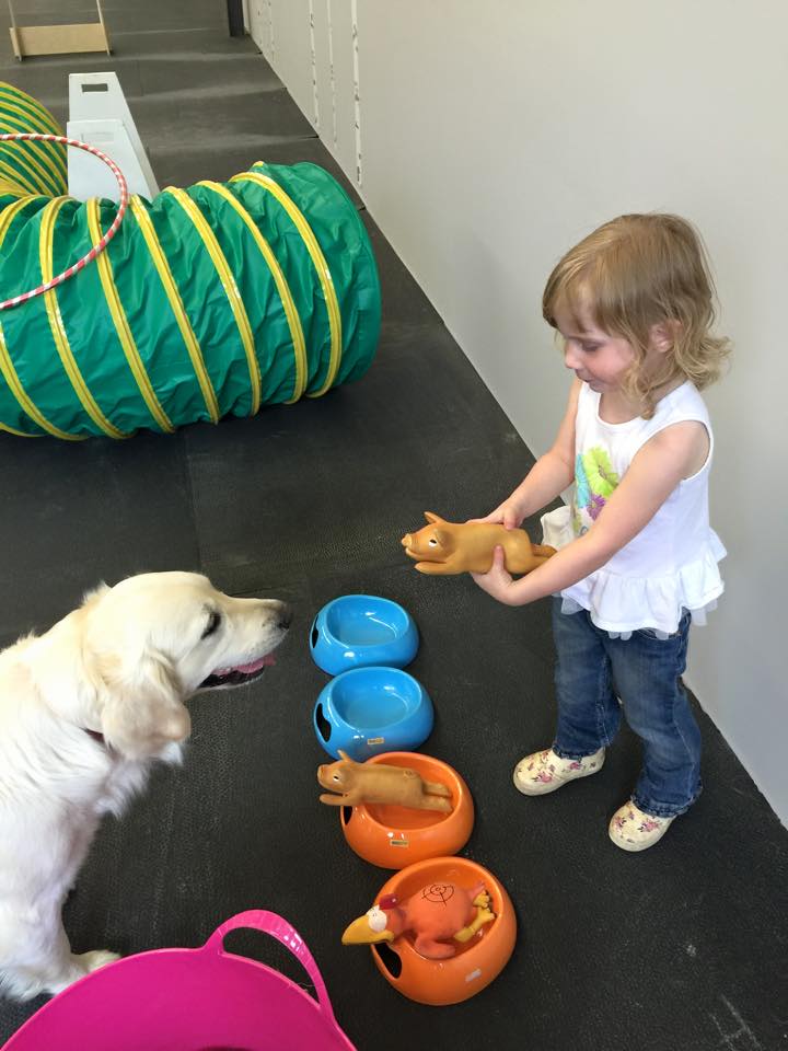 Ellies Wag and Train KW | 1680 Victoria St N, Kitchener, ON N2B 3E5, Canada | Phone: (519) 742-4000