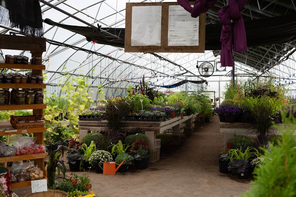Seeds of Creation | 8744 ON-60, Eganville, ON K0J 1T0, Canada | Phone: (613) 628-5313