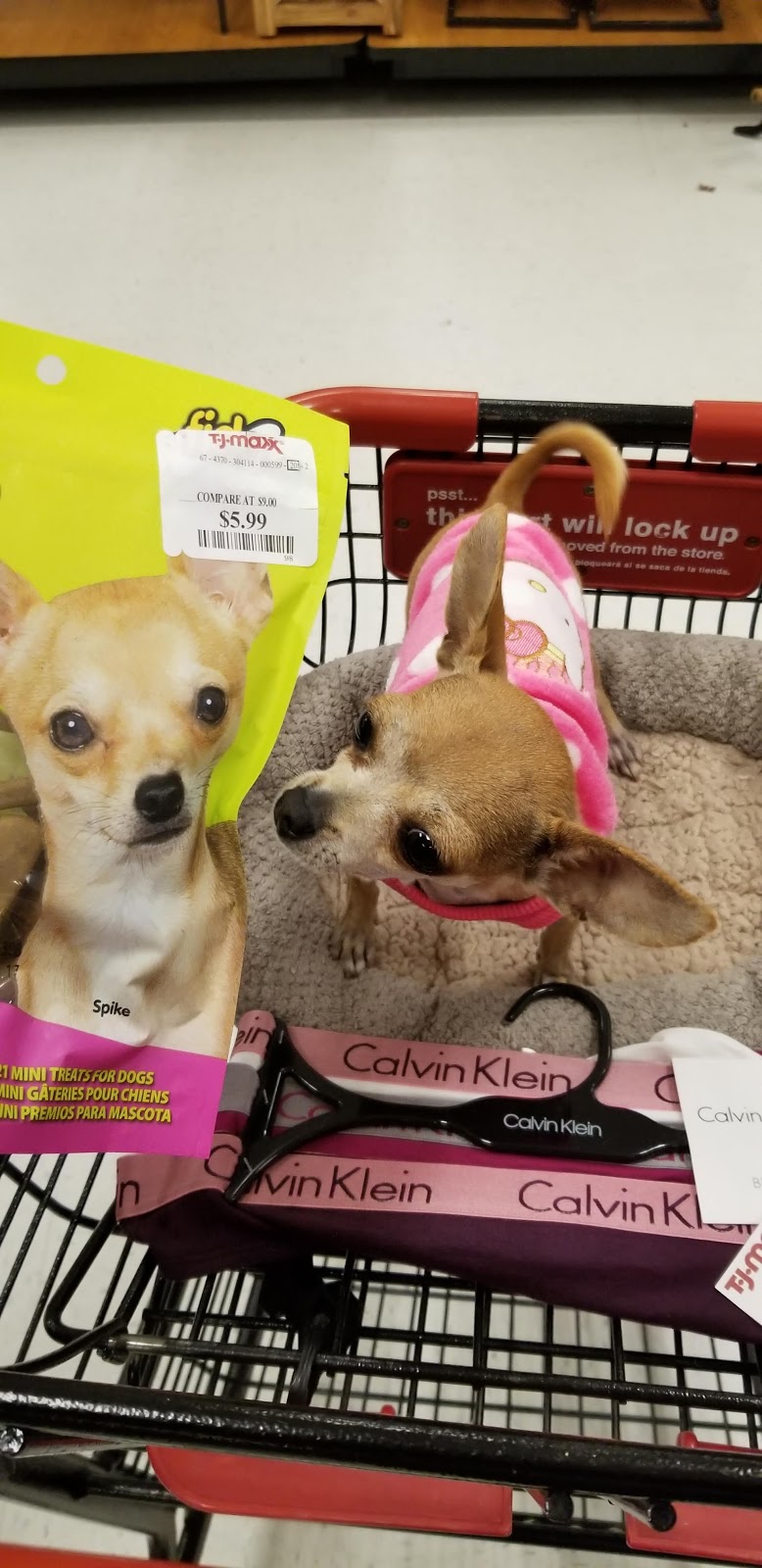 T.J. Maxx | 4289 Guide Meridian, Bellingham, WA 98226, USA | Phone: (360) 738-4674