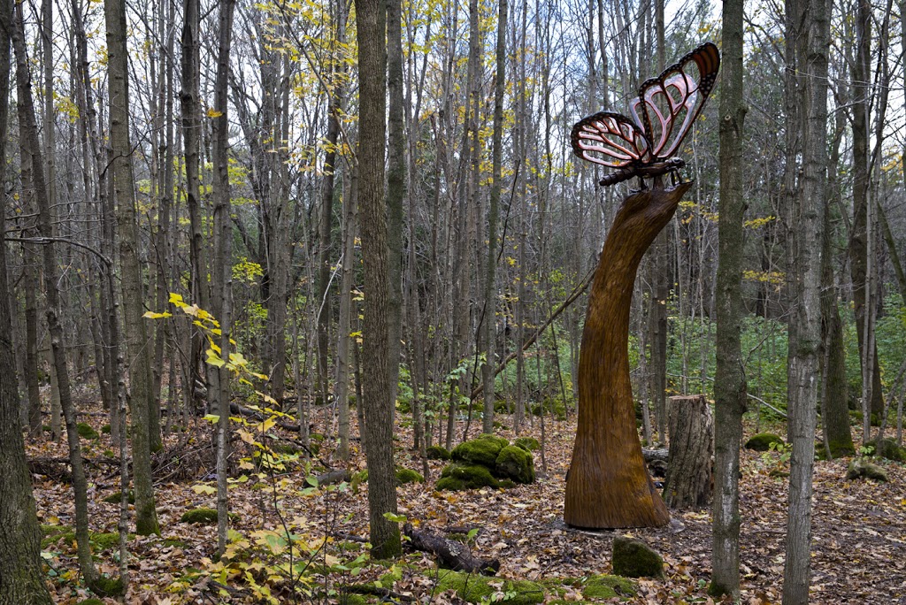 Crawford Lake Conservation Area | 3115 Conservation Rd, Milton, ON L9T 2X3, Canada | Phone: (905) 854-0234