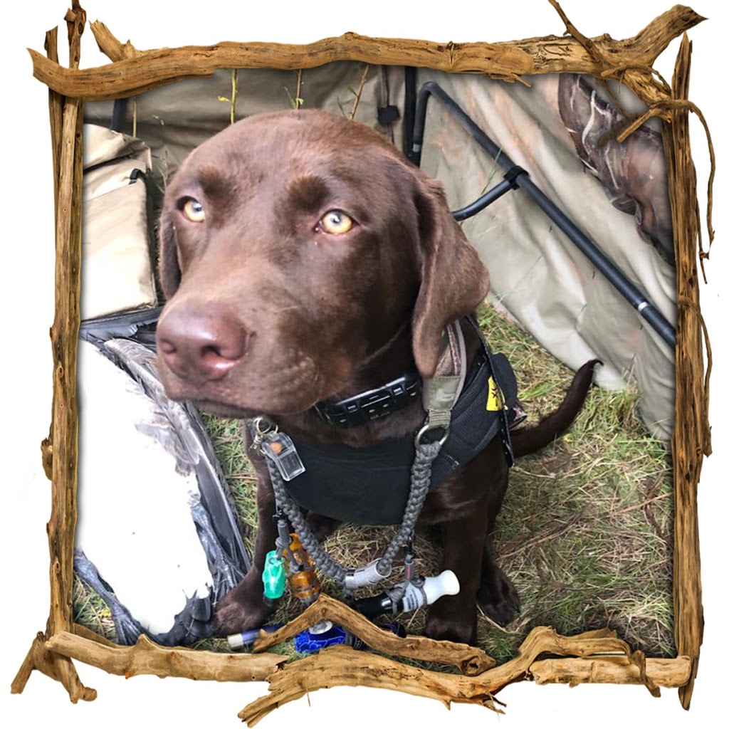 Hill’s waterfowl | Range Rd 255, Strathmore, AB T1P 0K3, Canada | Phone: (587) 727-5649